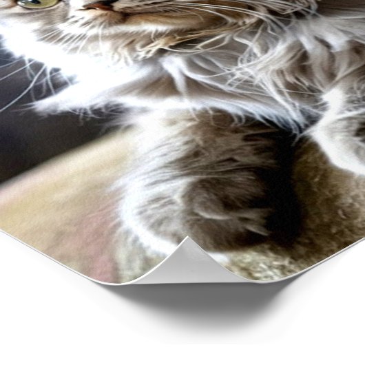 Sad and Lonely Pets Poster Print: One Day ポスター (角)