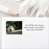 Sad Dog差出人住所メールラベルシール ラベル (インサイチュ)