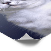 Sad & Lonely Petsポスタープリント：これだ ポスター (角)