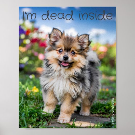 Sad & Lonely Petsポスタープリント: I'm Dead Inside ポスター (正面)