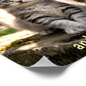 Sad & Lonely Pets Poster Print: Follow Me ポスター (角)