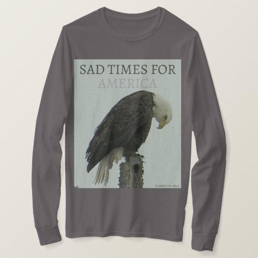 SAD TIMES FOR AMERICA Tシャツ (デザイン正面)