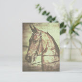 Saddlebredの馬 ポストカード (スタンド正面)