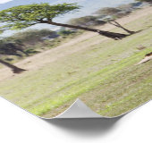Safariで |みくみ国立公園,タンザニア ポスター (角)
