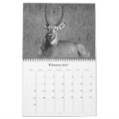 safariブラック&ホワイト2025 カレンダー (2月 2027)