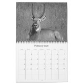 safariブラック&ホワイト2025 カレンダー (2月 2026)