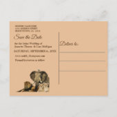 Safari屋外での日付の保存 案内ポストカード (裏面)