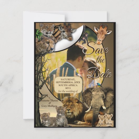 Safari屋外での日付の保存 案内状 (正面)