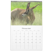 safari africa 2026 カレンダー (2月 2026)