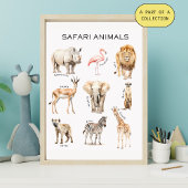Safari Animals Educational Poster ポスター