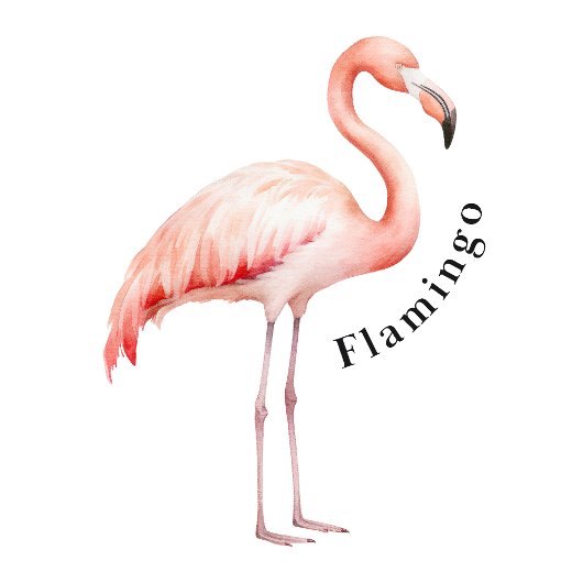 Safari Animals Educational Poster ポスター