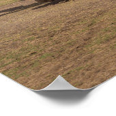 Safari Wildlife Giraffes and Rhinos on Open Plains ポスター (角)