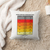 Saffir-Simpson Hurricane Scale（風速） クッション (ブランケット)