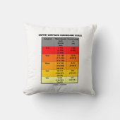 Saffir-Simpson Hurricane Scale（風速） クッション (正面)