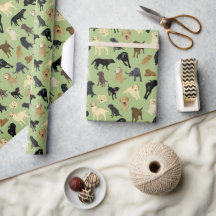 Sage Green 転が ofのLotsa Labs 