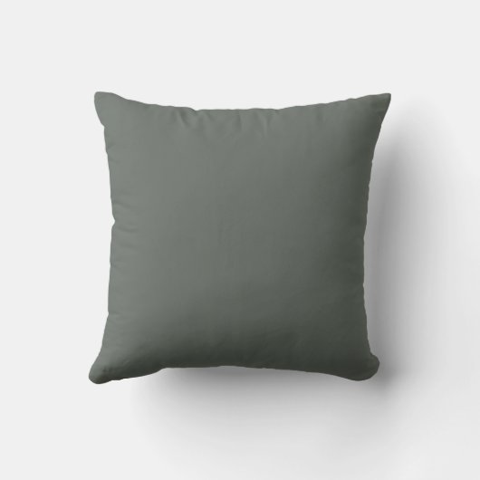 Sage pillow with a simple religious quote クッション (裏面)