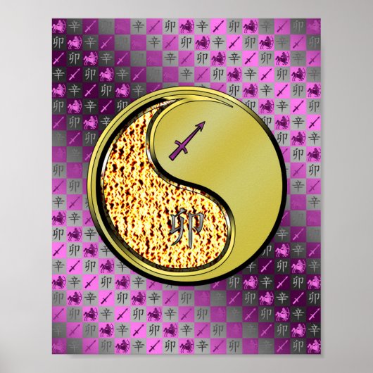 Sagittarius & Metal Rabbit ポスター (正面)