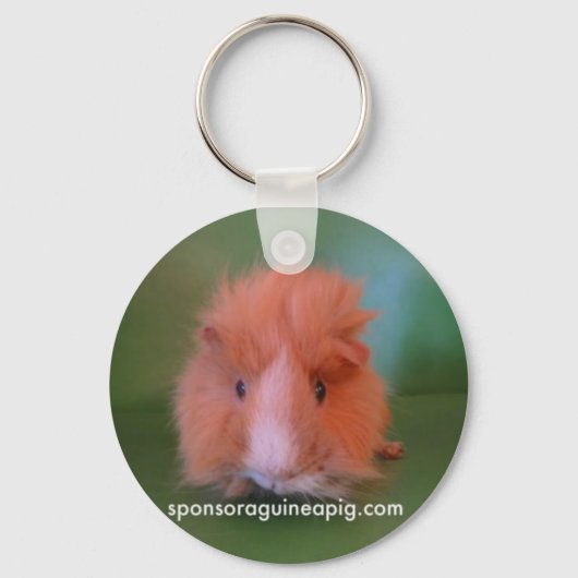 SAGPキーチェーン キーホルダー (正面)