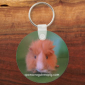 SAGPキーチェーン キーホルダー (正面)