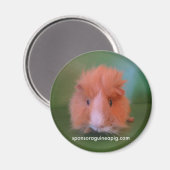 SAGPマグネット マグネット (正面/裏面)