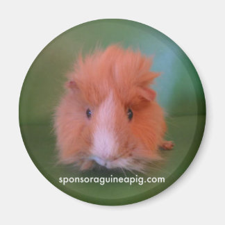 SAGPマグネット マグネット