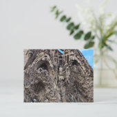 Sagrada Familiaの出生Façade -バルセロナの写真 ポストカード (スタンド正面)