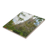 Sagrada Família、バルセロナ タイル (側面)