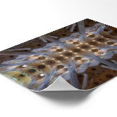 Sagrada Familia ポスター (角)