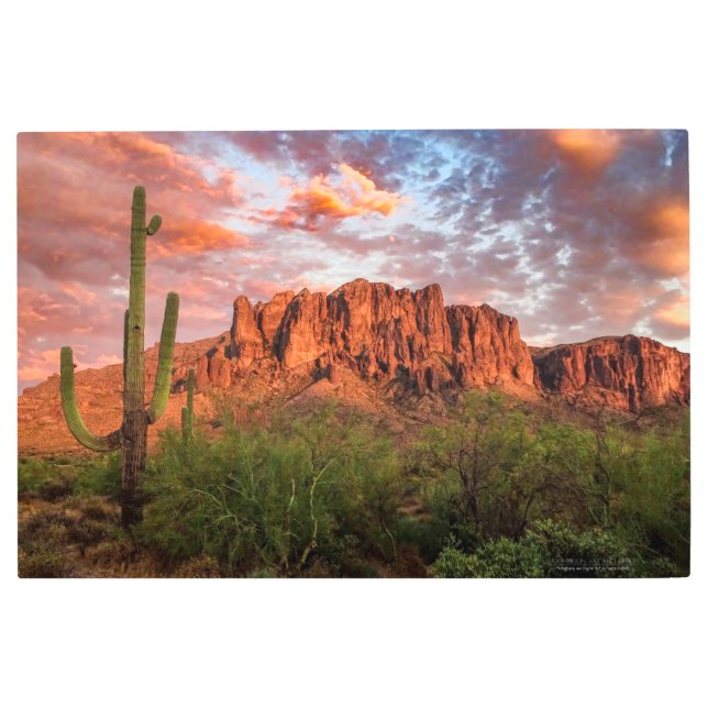 Saguaroサボテン迷信マウンテンサンセット36x24 メタルプリント (正面)