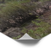 Saguaro at Sunset ポスター (角)