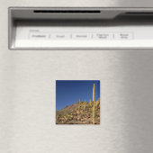 Saguaro cactiとツーソン山，ツーソン マグネット (インサイチュ (食洗機))