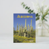 Saguaro cactiと黄色の野生の花，アリゾナ ポストカード (スタンド正面)