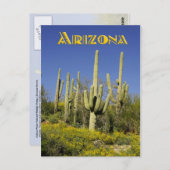 Saguaro cactiと黄色の野生の花，アリゾナ ポストカード (正面/裏面)