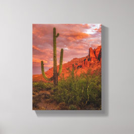 Saguaro Cactusアリゾナサンセットテラコッタレッド11x14 キャンバスプリント