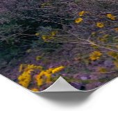 Saguaro Cactusサンセットアリゾナ写真 ポスター (角)