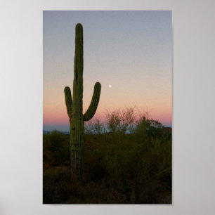 Saguaro Cactusサンセットアリゾナ写真 ポスター