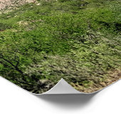 Saguaro Cactusブルースカイズアリゾナ写真 ポスター (角)