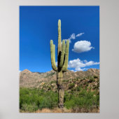 Saguaro Cactusブルースカイズアリゾナ写真 ポスター (正面)