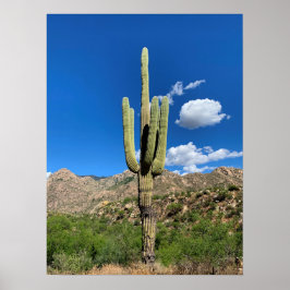 Saguaro Cactusブルースカイズアリゾナ写真 ポスター