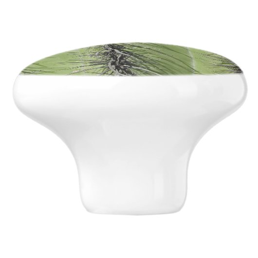 Saguaro Cactus写真明るい緑の植物南西 セラミックノブ (側面)