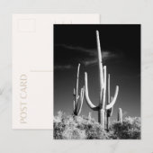 Saguaro Cactus白黒フォトアリゾナ ポストカード (正面/裏面)