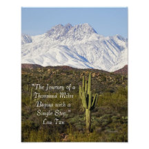 Saguaro Cactus雪をかぶった山々アリゾナUSA
