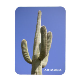 Saguaro Cactus – アリゾナ – マグネット