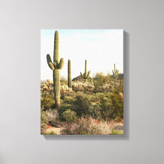 Saguaro Cactus（米国アリゾナ州） キャンバスプリント (正面)