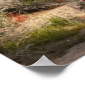 Saguaro Cactus（米国アリゾナ州） ポスター (角)