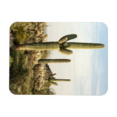 Saguaro Cactus（米国アリゾナ州） マグネット (横)