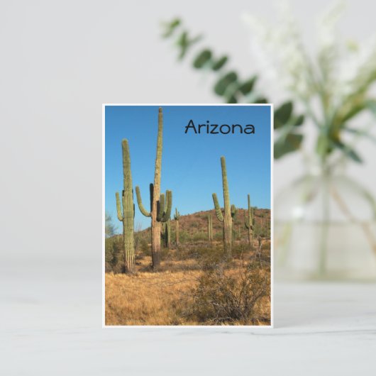 Saguaro cactus, Arizona – はがき (スタンド正面)
