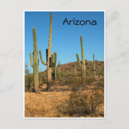 Saguaro cactus, Arizona – はがき