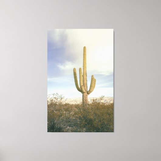 Saguaro Cactus Desert Landscape キャンバスプリント (正面)