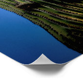 Saguaro Cactus High  Postcard ポスター (角)